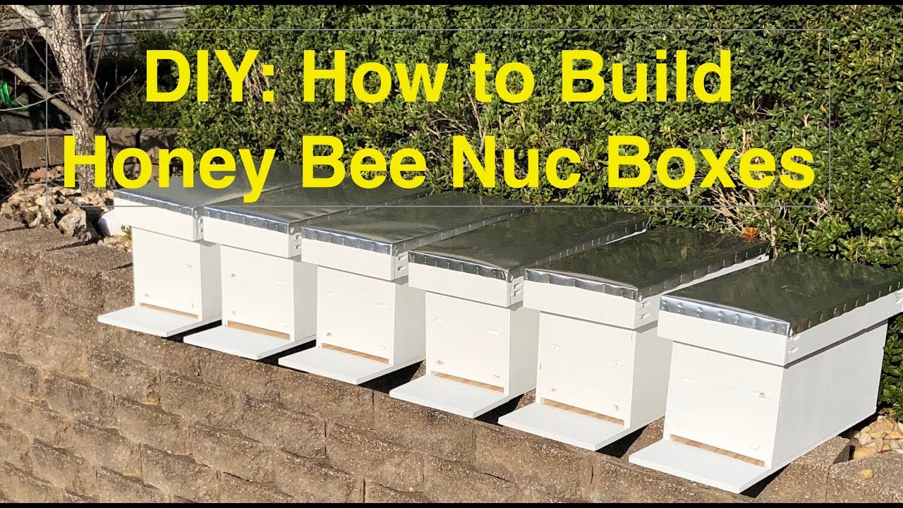 Building Nuc Boxes the EASY WAY - Using Pocket Holes