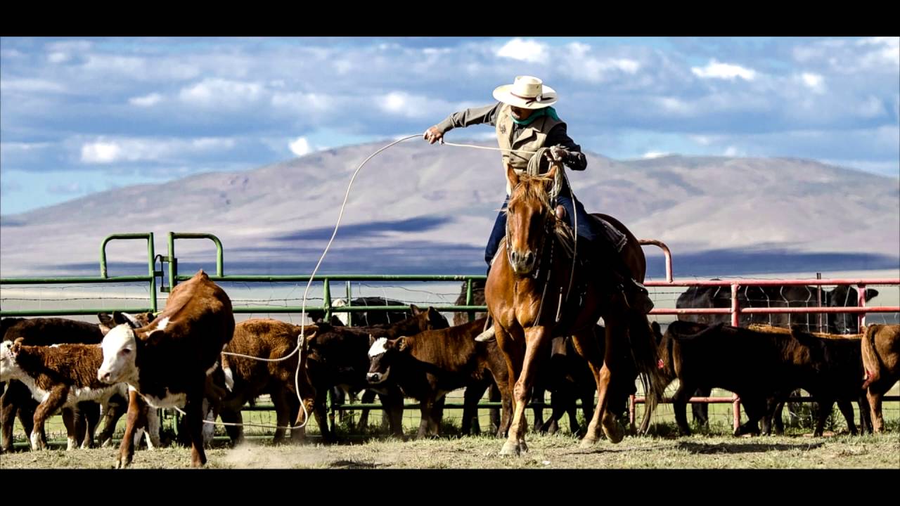 Trailer,  Tra Le Redini - il Documentario
