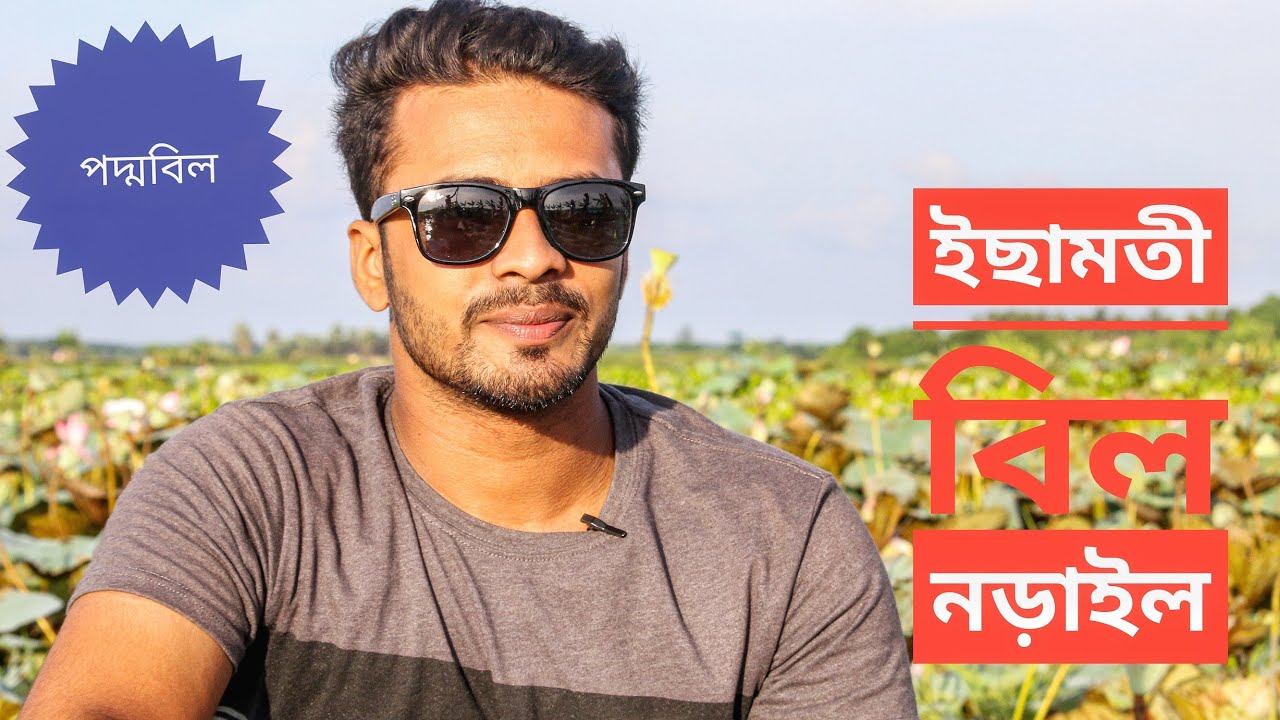 Ichamati Bill || ইছামতী বিল নড়াইল।  পদ্মফুল দেখতে চলে এলাম😊 || Narail.