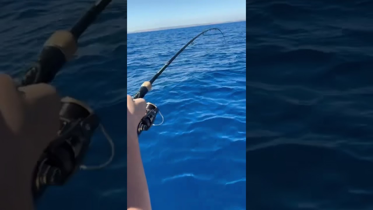 Pesca a traina con raglou