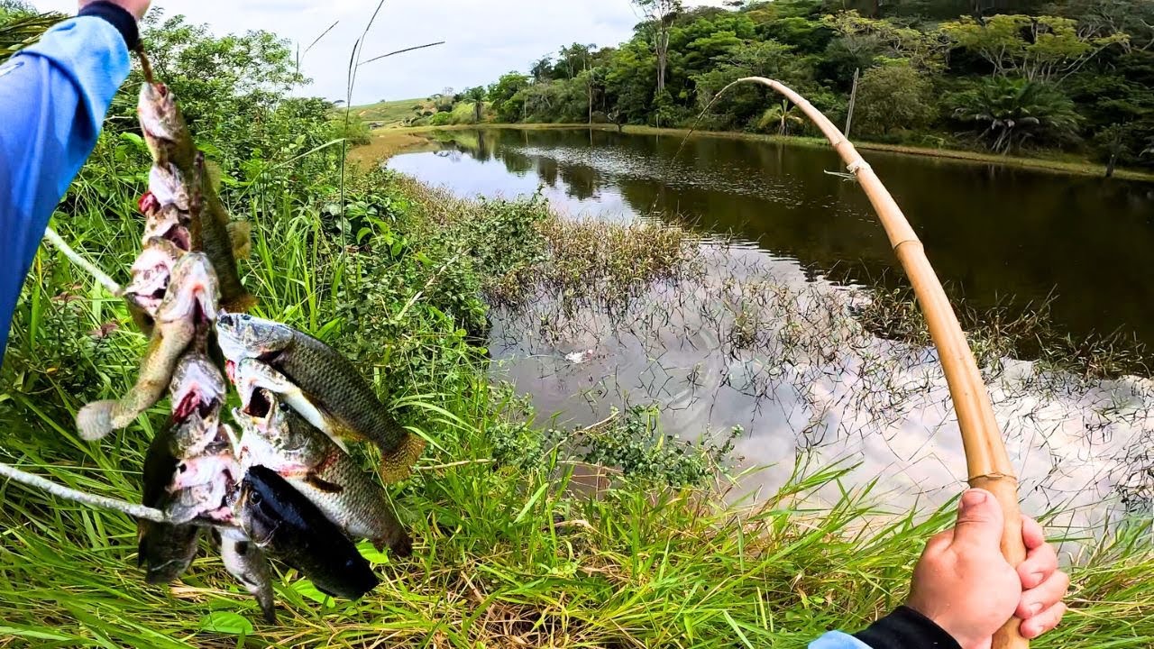 TINHA MAIS TRA&Iacute;RA QUE AGUA!! A Vara de Bambu Sofreu... Pescaria caipira no Corrego