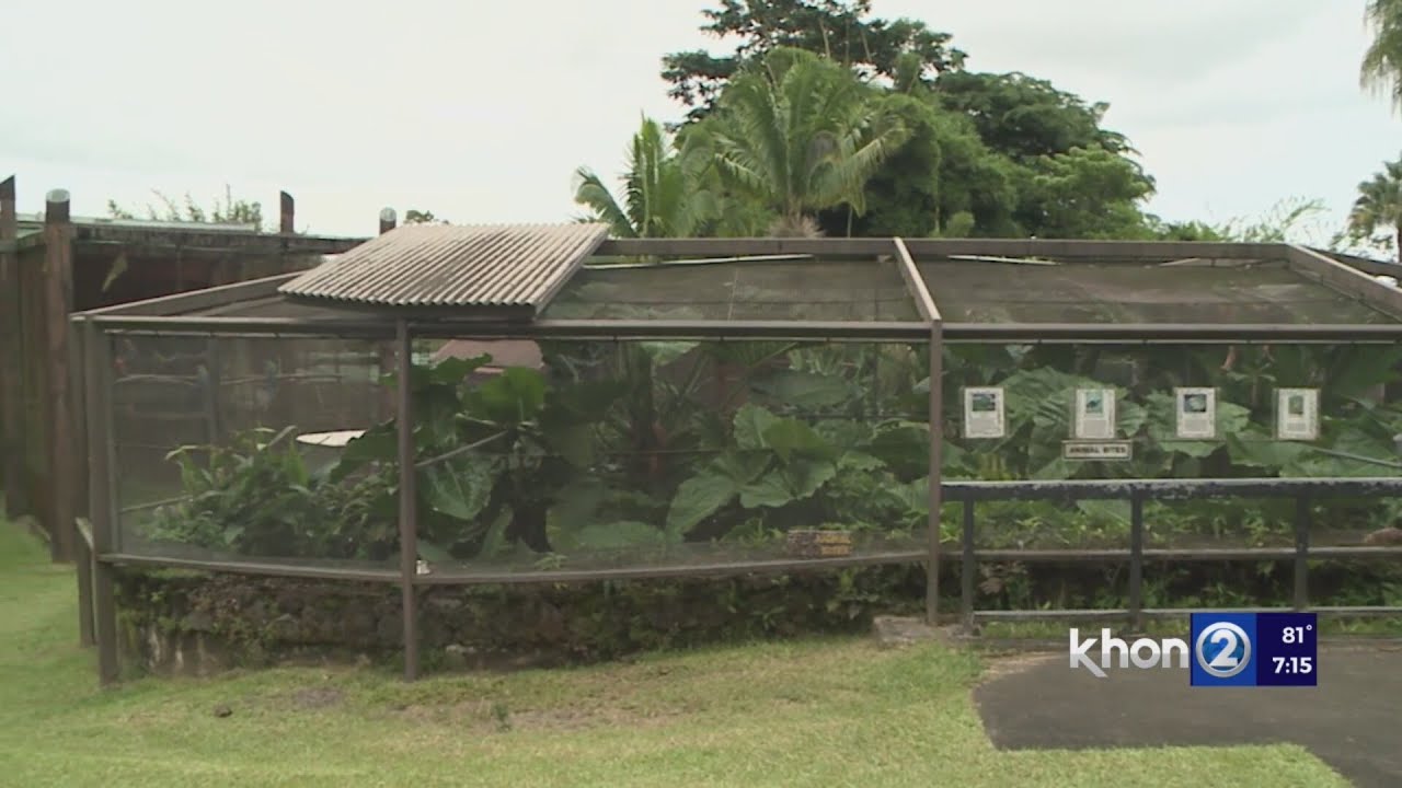 Zoo animals health called into due to enclosure concerns