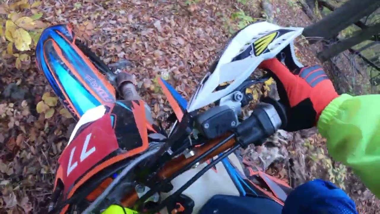 28 октомври 2025 г.