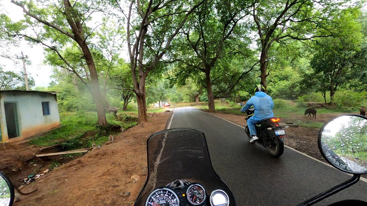 ಮುತ್ತತ್ತಿ | Muthathi. Awesome place near Bangalore | One Day Trip | Forest Inside Road