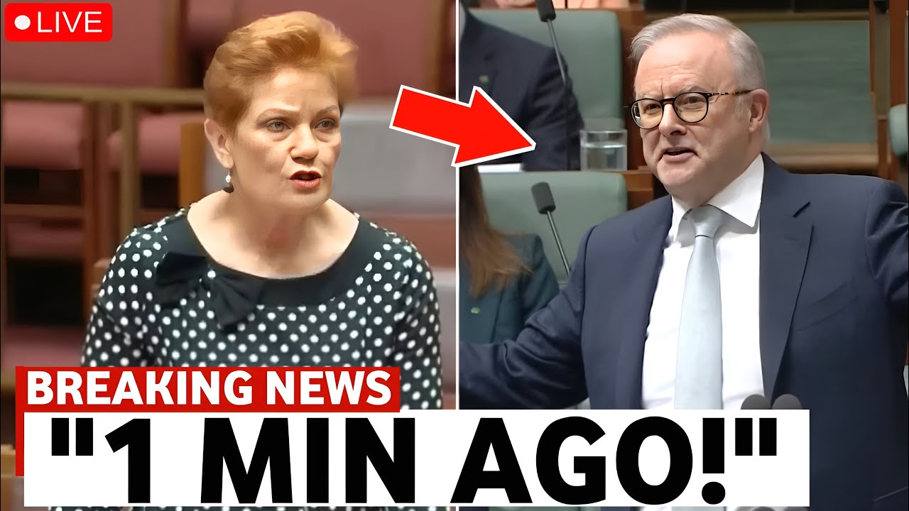 Anthony Albanese LOSES IT as Pauline Hanson HUMILIATES Labour in Australia Parliament On LIVE TV!