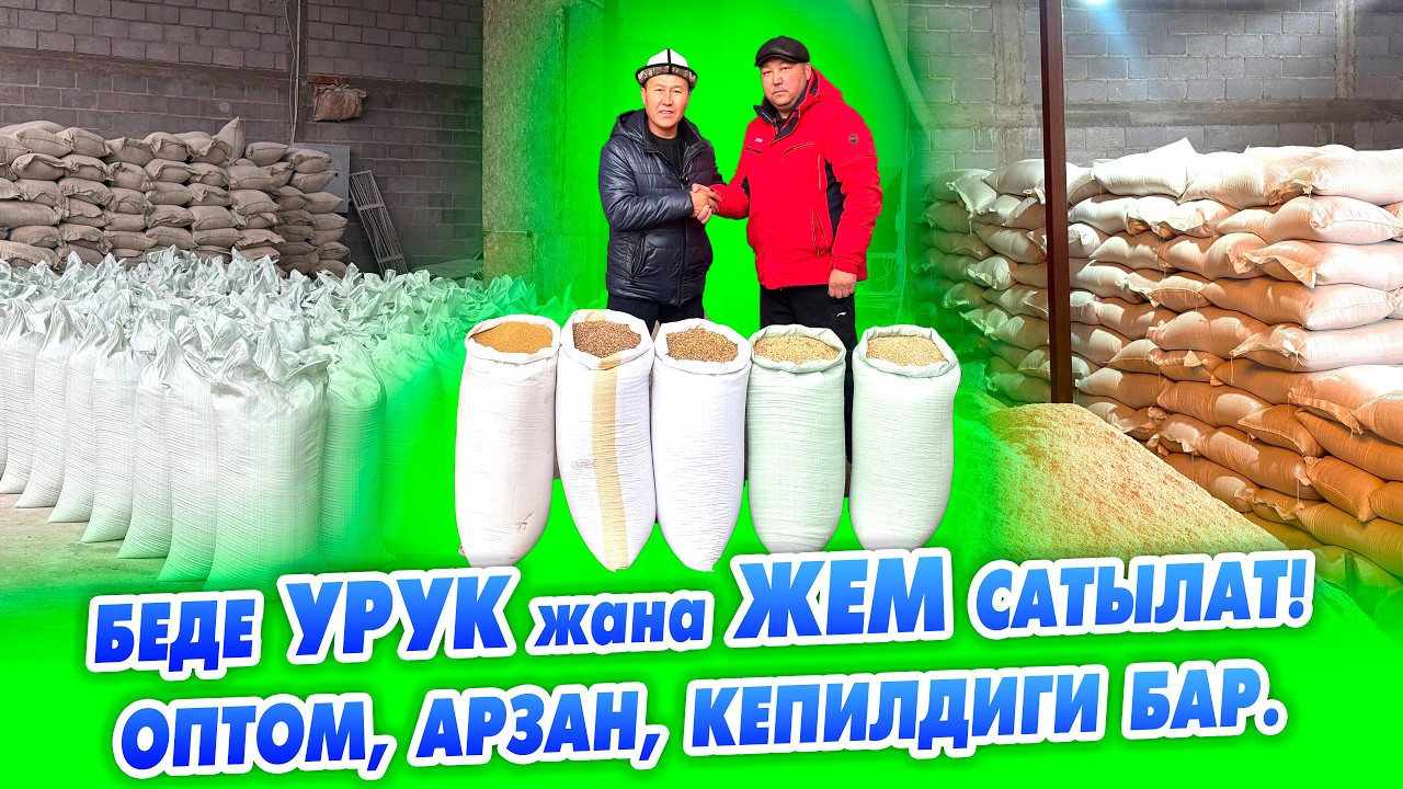 Дыйкандар, фермерлер УРУКТАР жара ЖЕМдин түрлөрү САТЫЛАТ. ОПТОМ арзан ИШЕНИЧТҮҮ.