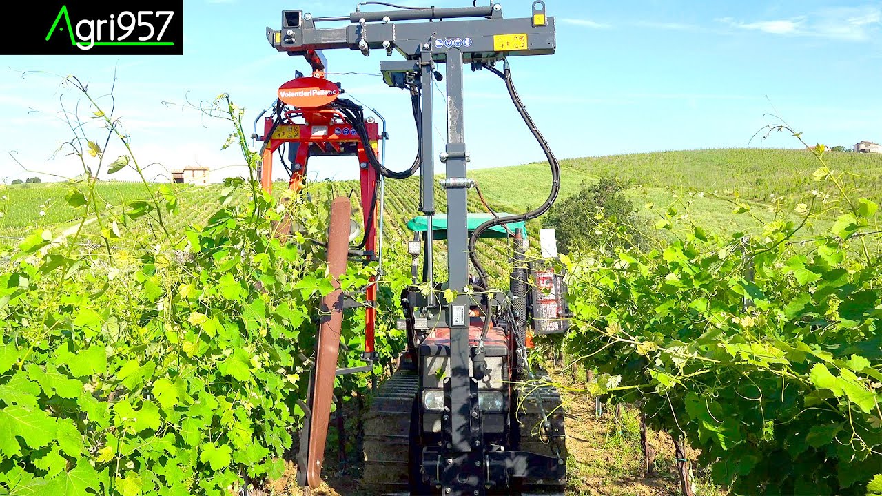MECHANICAL VINE TYING | LEGATURA MECCANICA TRALCI VIGNETO - FIAT 72-85, LEGATRICE VOLENTIERI-PELLENC