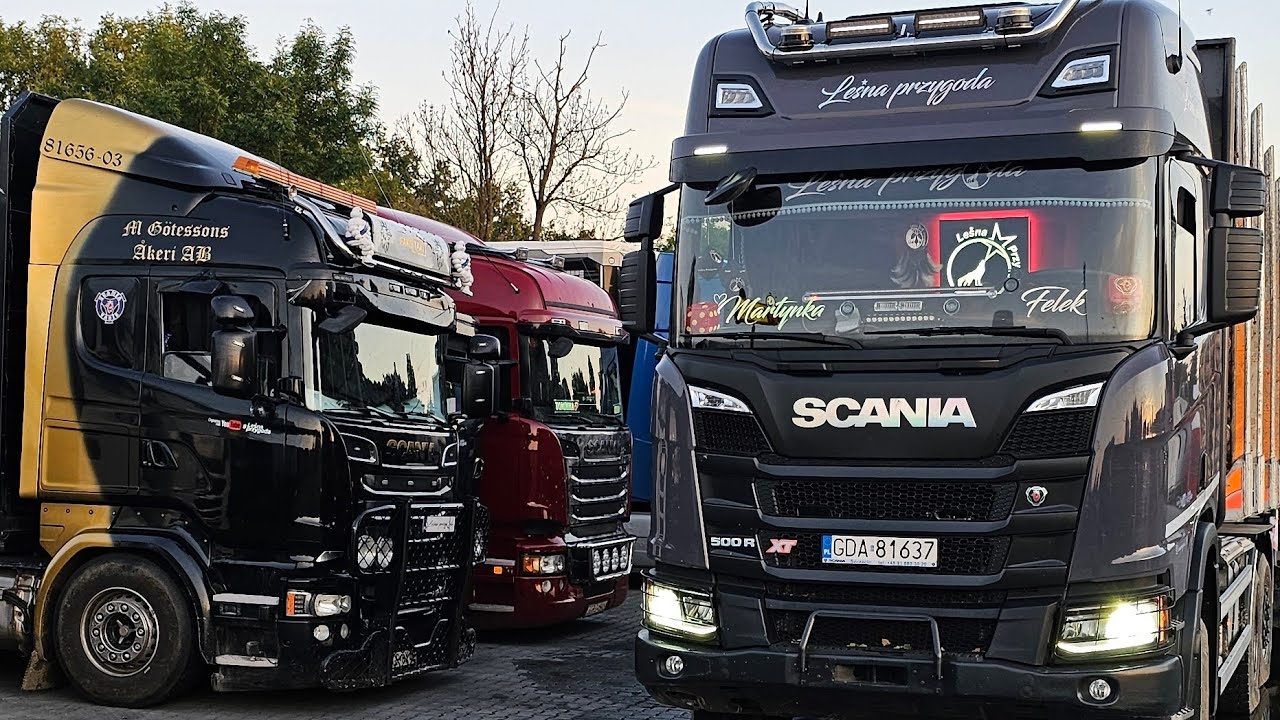 Leśna przygoda #434 dzwonie do taty , on jeszcze nie wie | powrót Dawidka | widelec