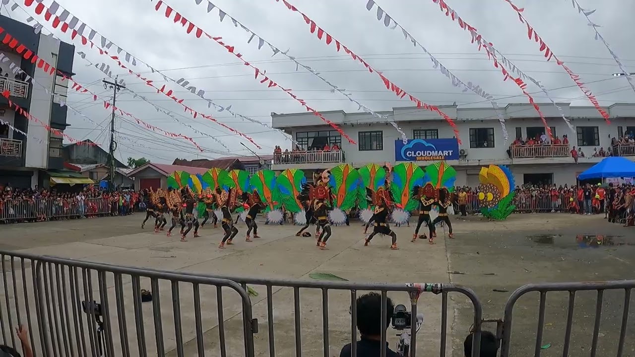 Tribu Salognon 