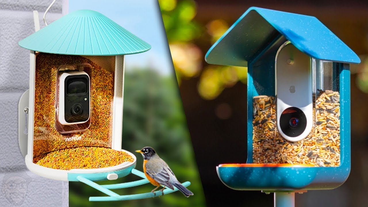 5 Best Bird Feeder Camera in 2024