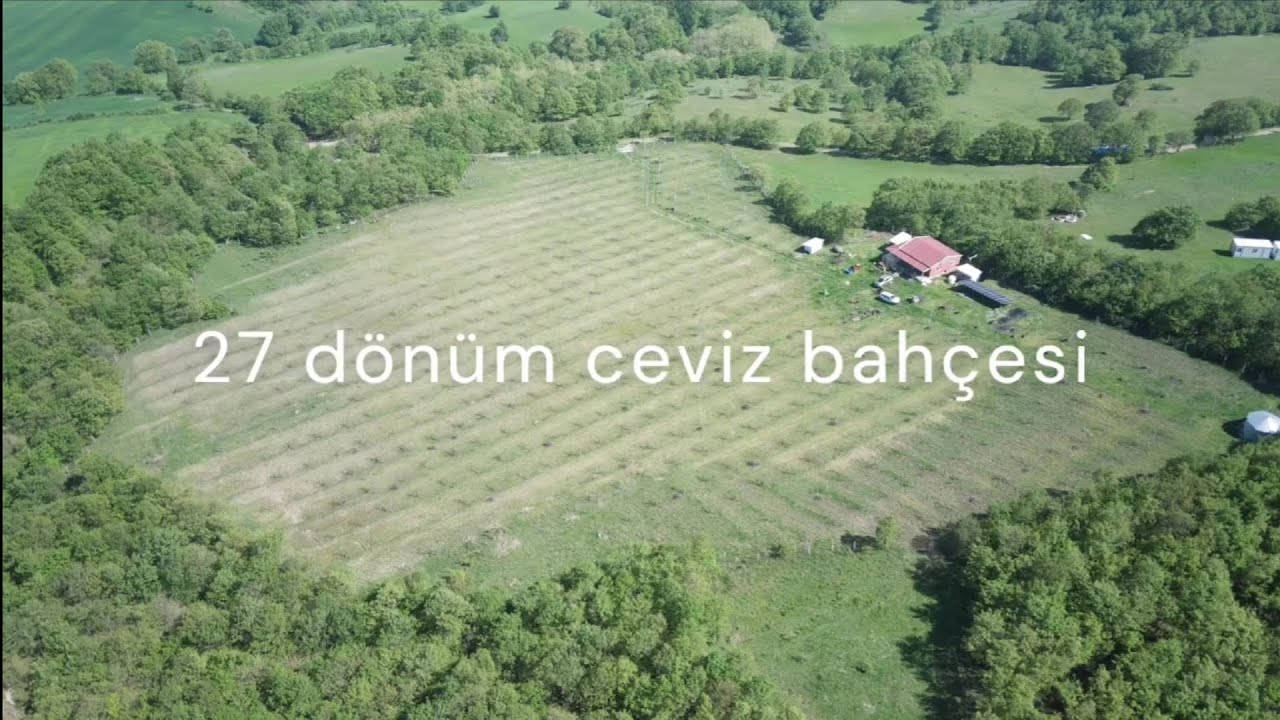 SATILIK 27 DÖNÜM CEVİZ BAHÇESİ VE EV MALZEMELERİYLW VERİLECEK FİYAT 15 MİLYON