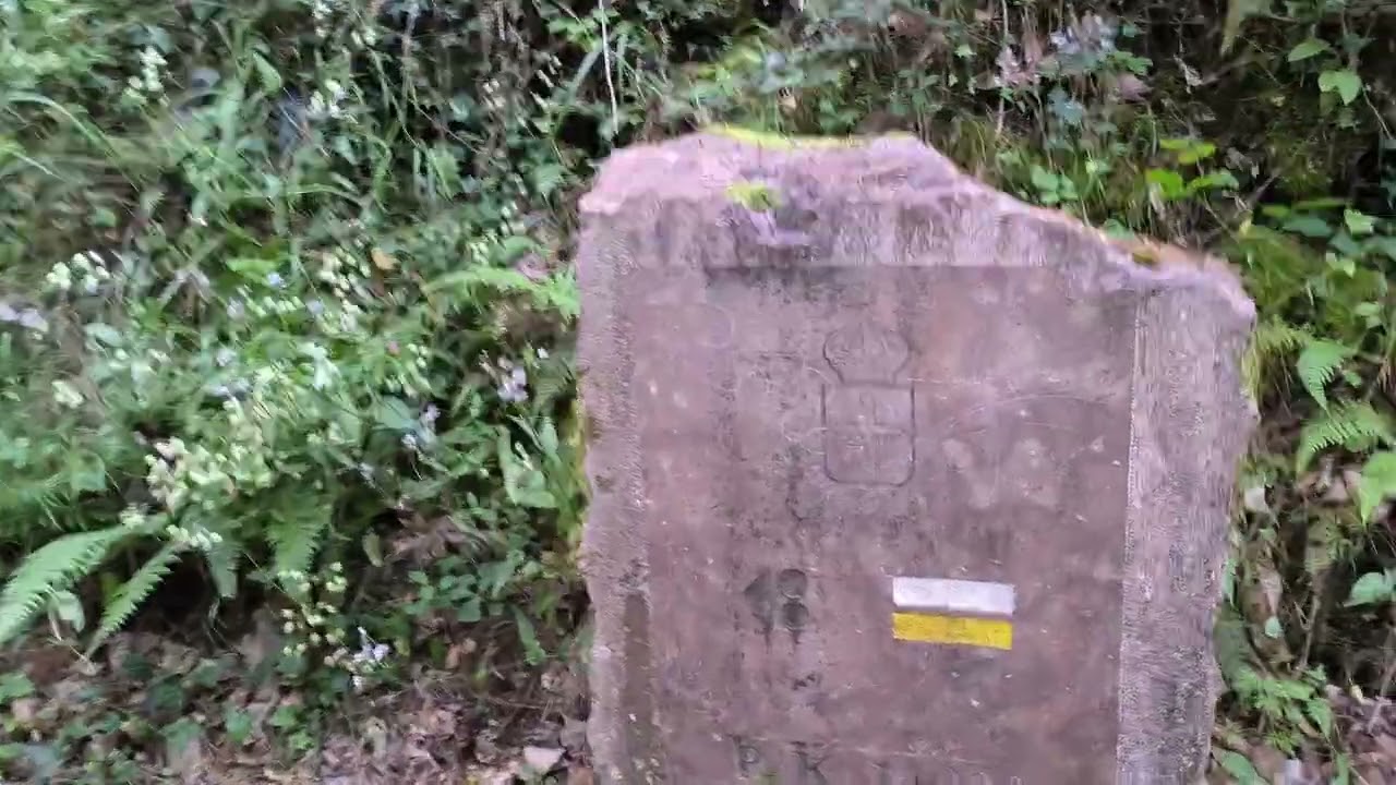 Un Paseo por Navelgas