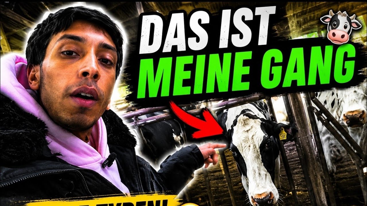 Das ist meine Gang 🐄