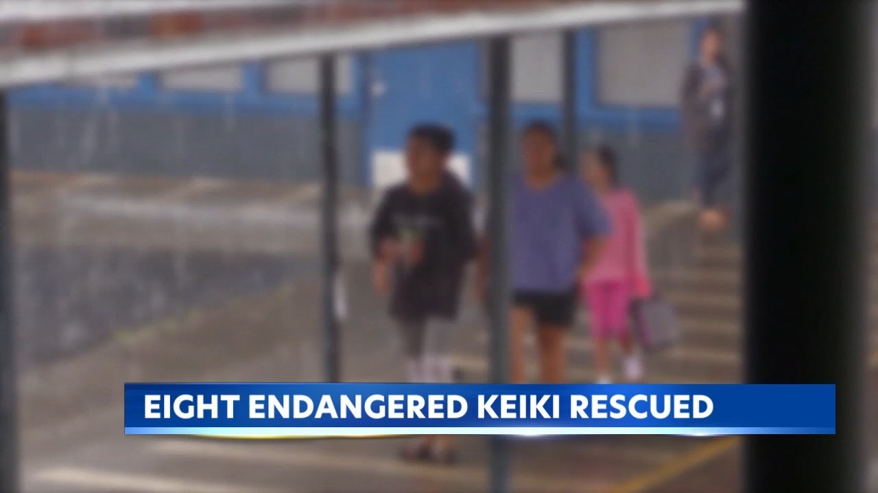 Efforts expand to stop Hawaii's alarming child trafficking crisis