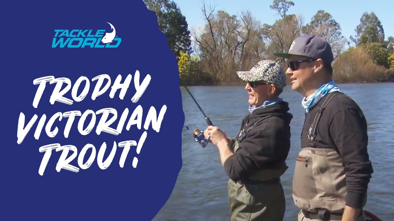 Landing Trophy Victorian Trout!