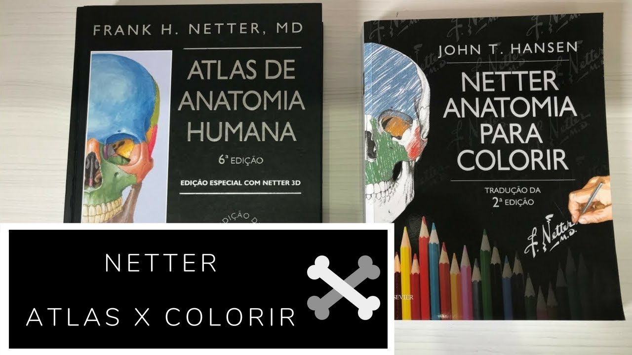 Netter : Atlas de Anatomia X Para Colorir