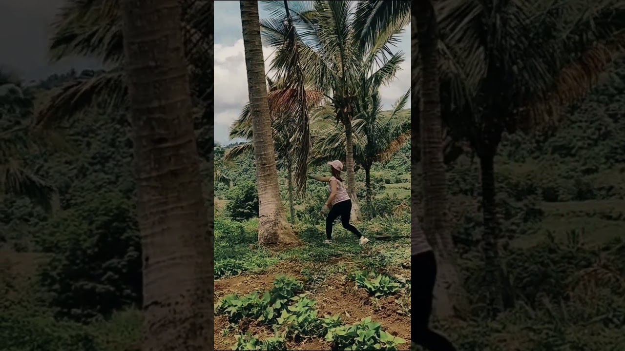 ganap ganapan