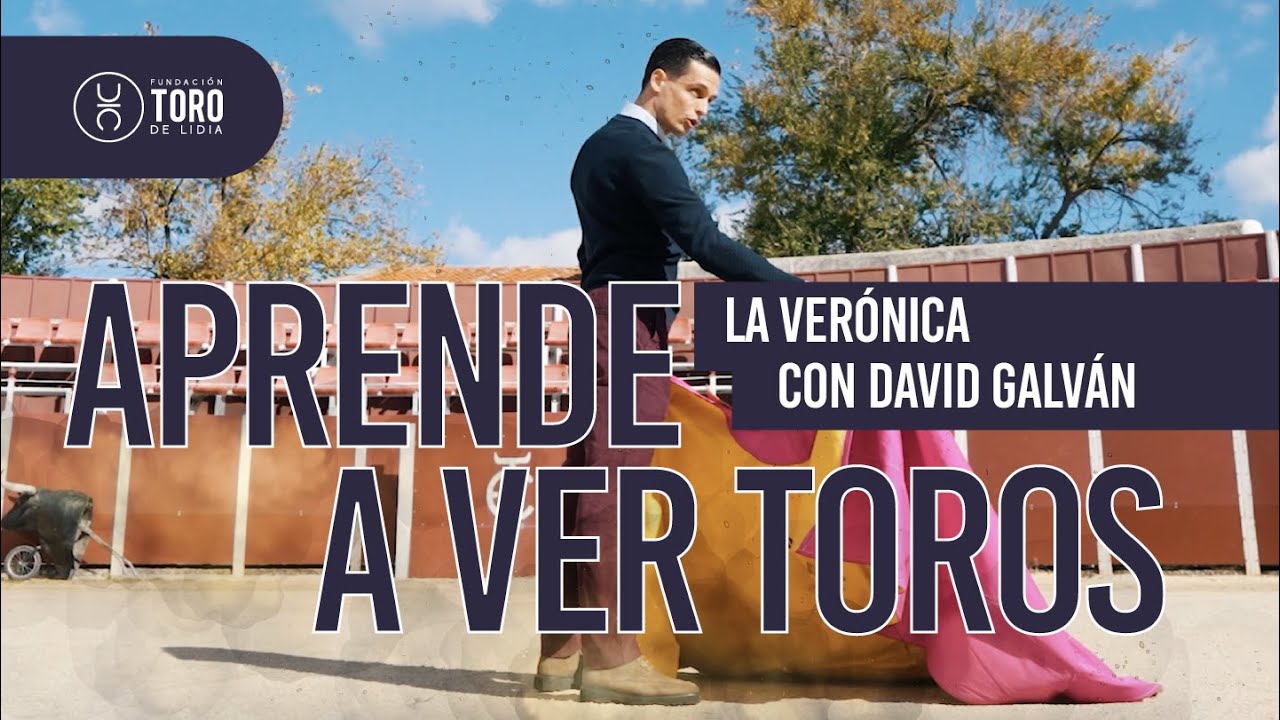 La verónica, con David Galván | APRENDE A VER TOROS