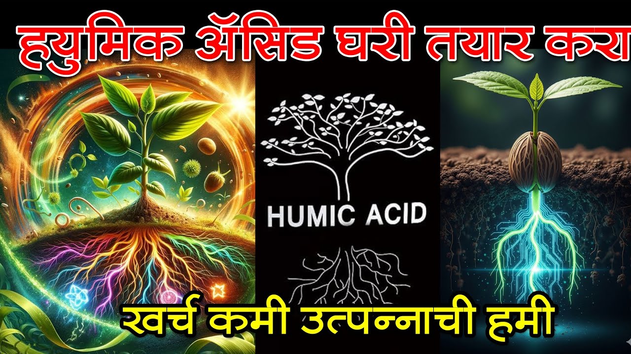 ह्युमिक ऍसिड घरात तयार करा खर्च कमी उत्पन्नाची हमी