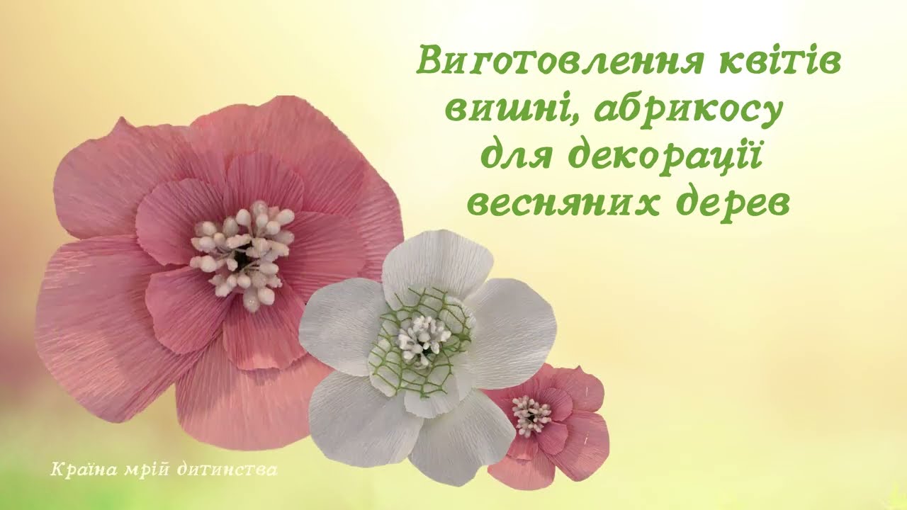 Квіти вишні, абрикосу для декору дерев на свято весни.