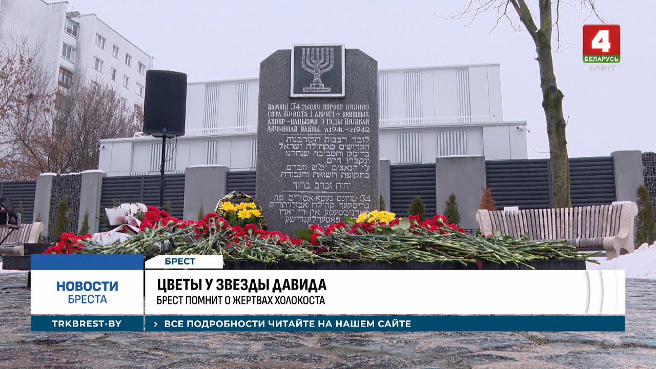 ЦВЕТЫ У ЗВЕЗДЫ ДАВИДА