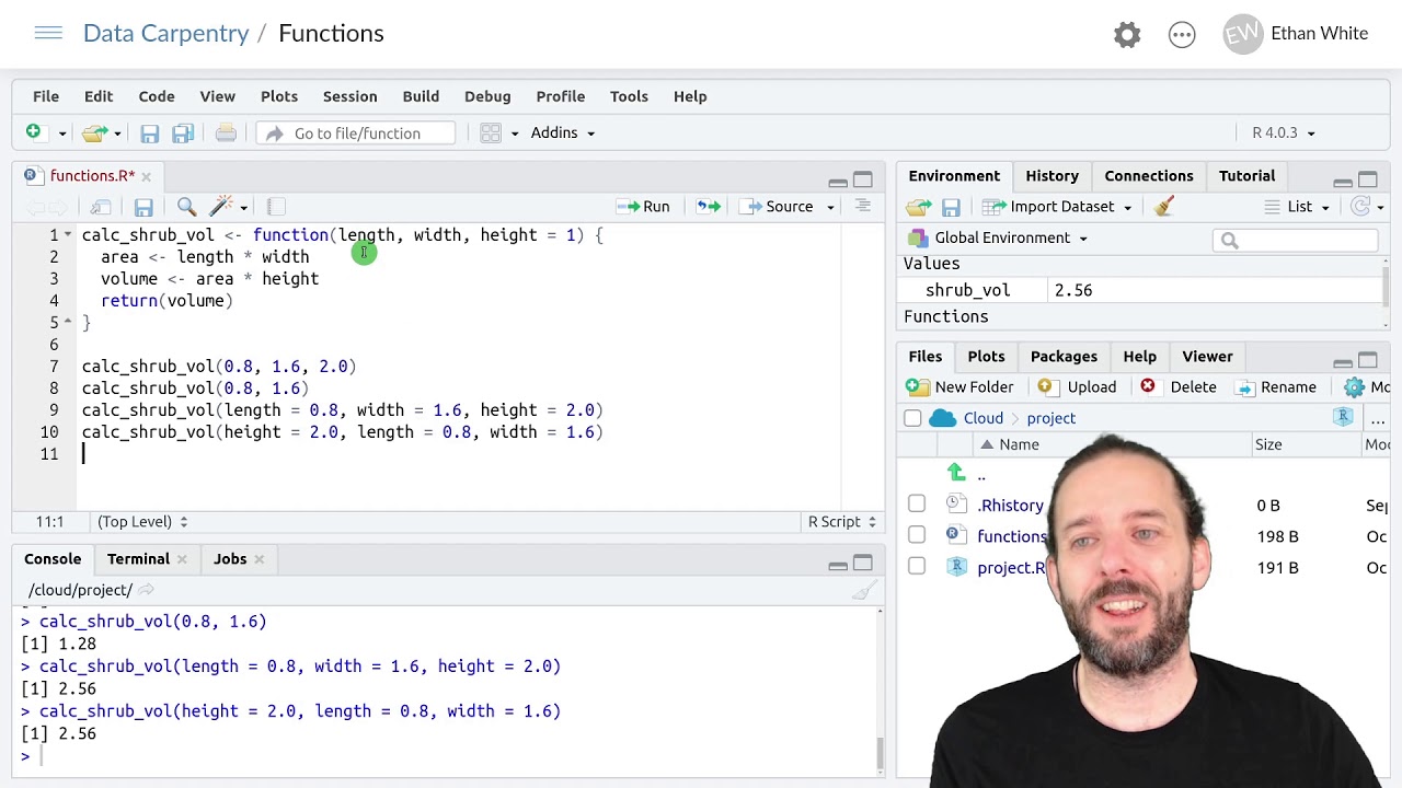 Writing And Using Your Own Functions in R: When To Use Named And Unnamed Arguments