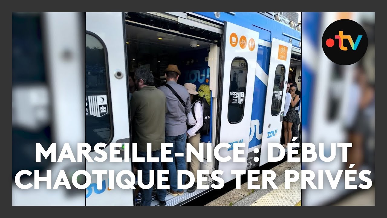 Marseille-Toulon-Nice par une ligne privée : un bilan mitigé après 8 semaines d'exploitation en Paca