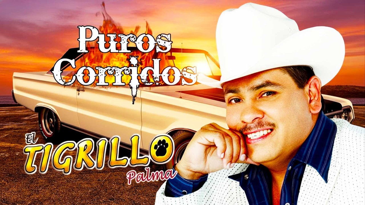 El Tigrillo Palma De Oro 💥 20 Exitos Puros Corridos Mix Para Pistear 2025