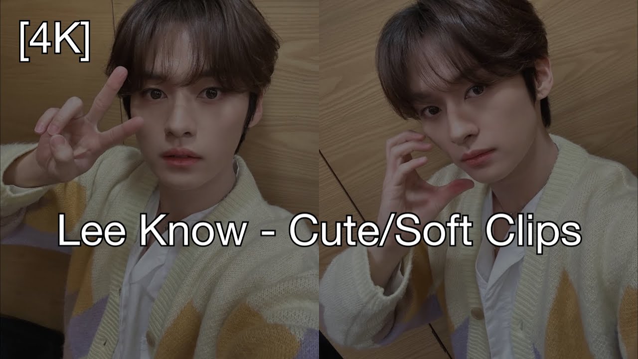 Lee Know - Cute/Soft Clips