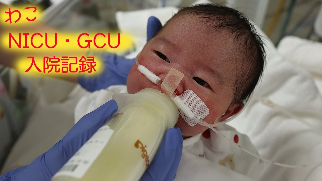 【わこ】NICU・GCU入院記録《新生児仮死》