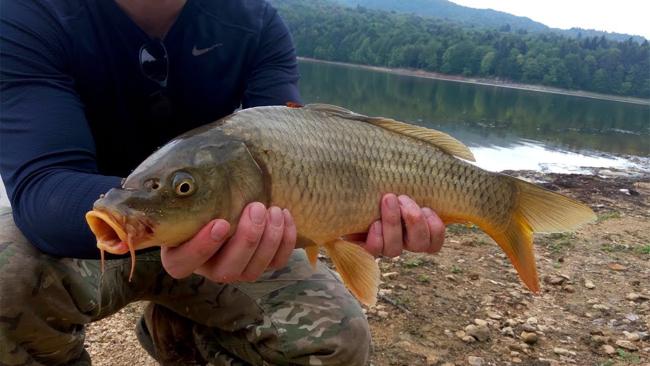 თევზაობა შაორის ტბაზე 2018
