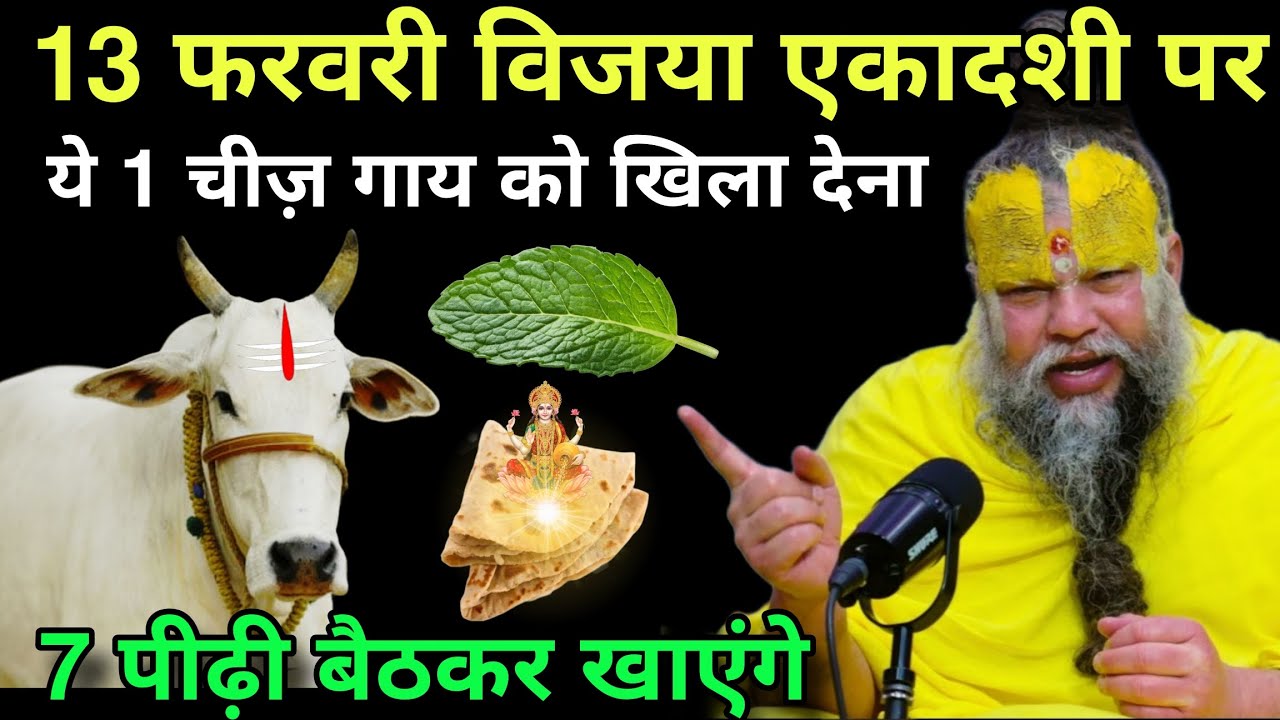 13 फरवरी विजया एकादशी के दिन, यह 1 चीज गाय को खिला देना, 7 पीढ़ी बैठकर खाएंगे#premanandji 
