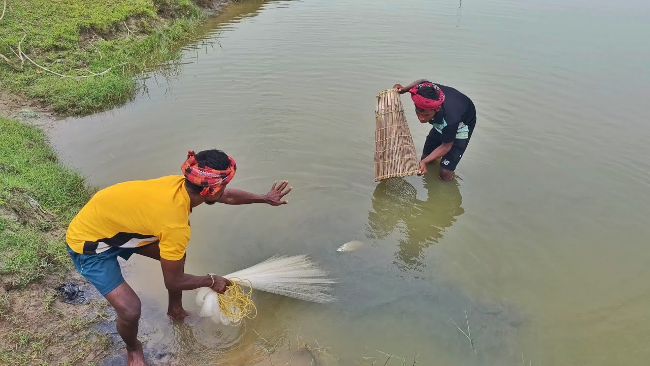 Cast Net Fishing | Traditional Net Catch Fishing in Village with Beautiful Natural