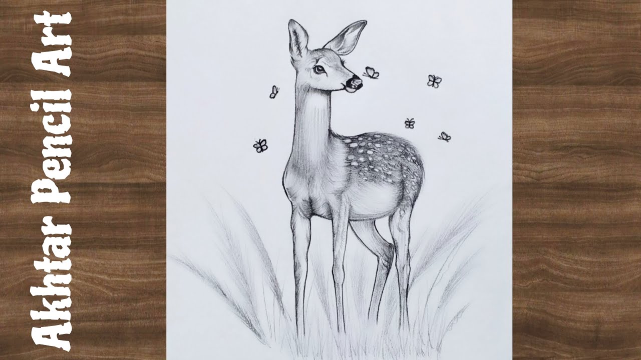 Cute Deer Drawing Easy Step By Step, Deer Drawing Easy, Animal Pencil Drawing Tutorial Easy