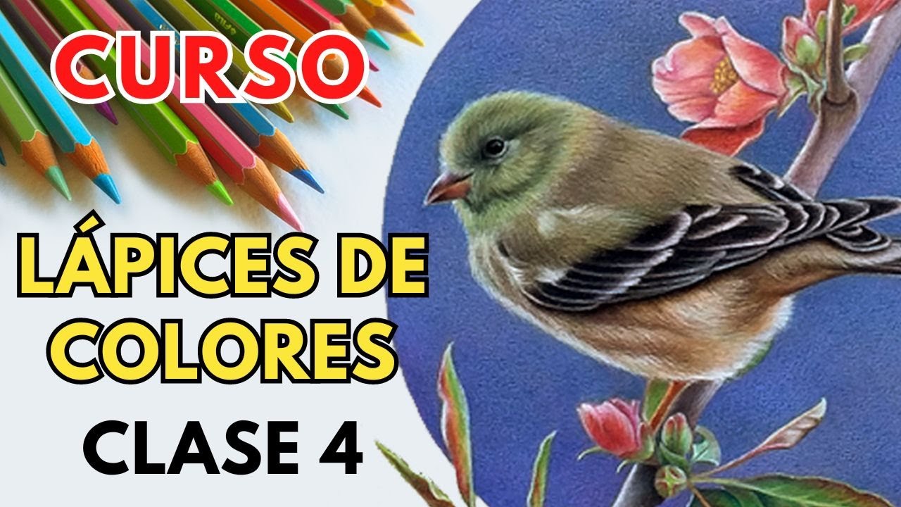 🎬 Clase 4: Rama 🌿🎨 – Curso Gratis de Lápices de Colores