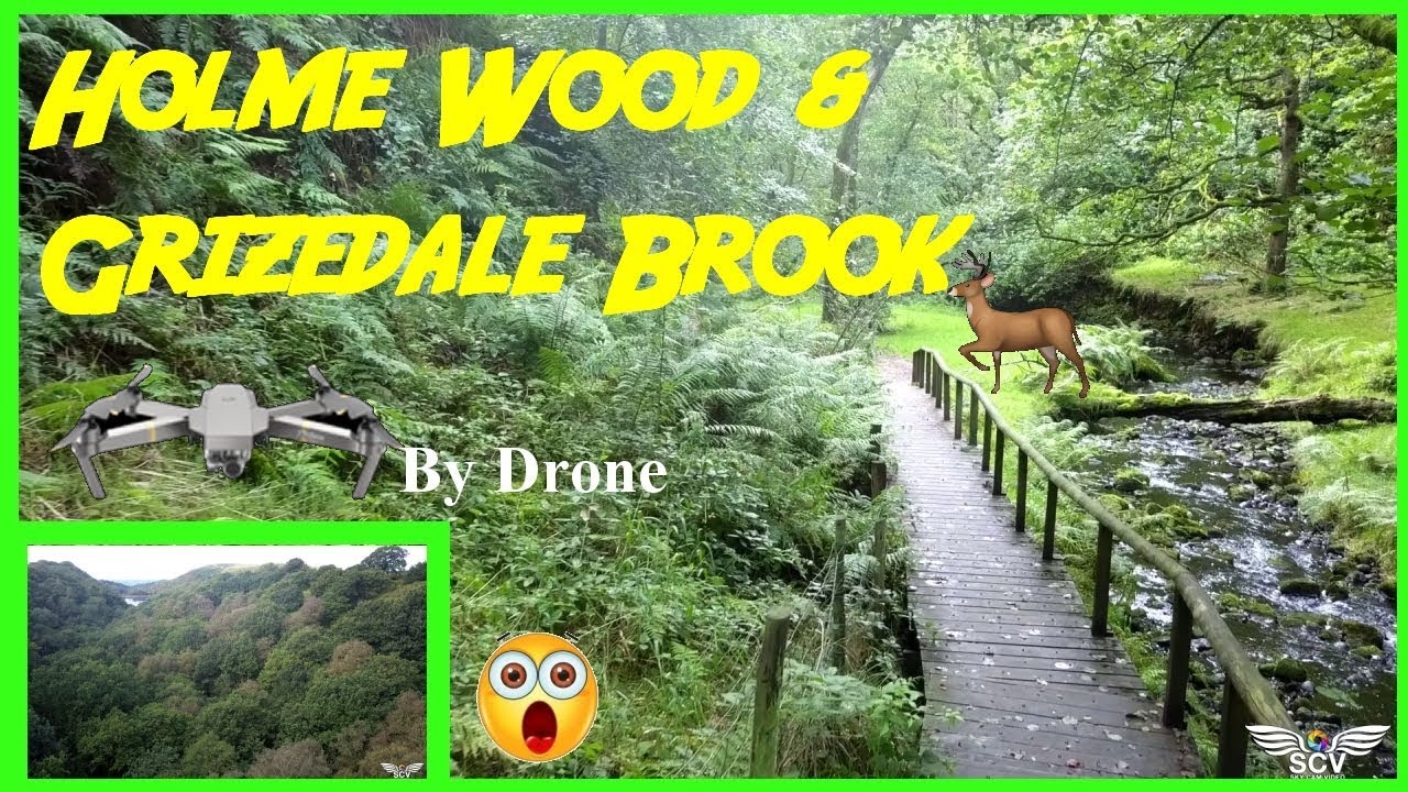 🌳🍁 A Visit to Holme Wood and Grizedale brook🌳🍁 by drone