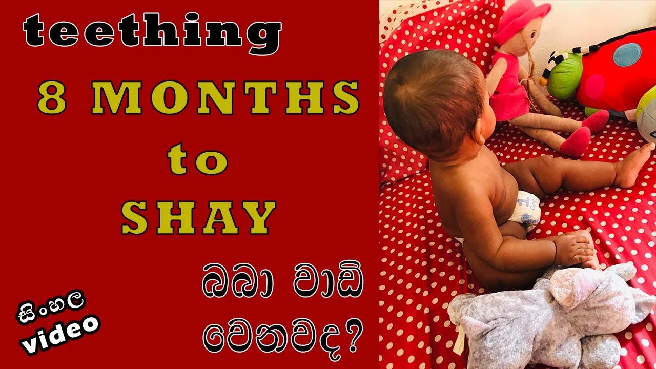 WHAT TO EXPECT at 8 MONTHS | Shay is 8 months old | Sinhala | Dhananjie Padmaperuma
