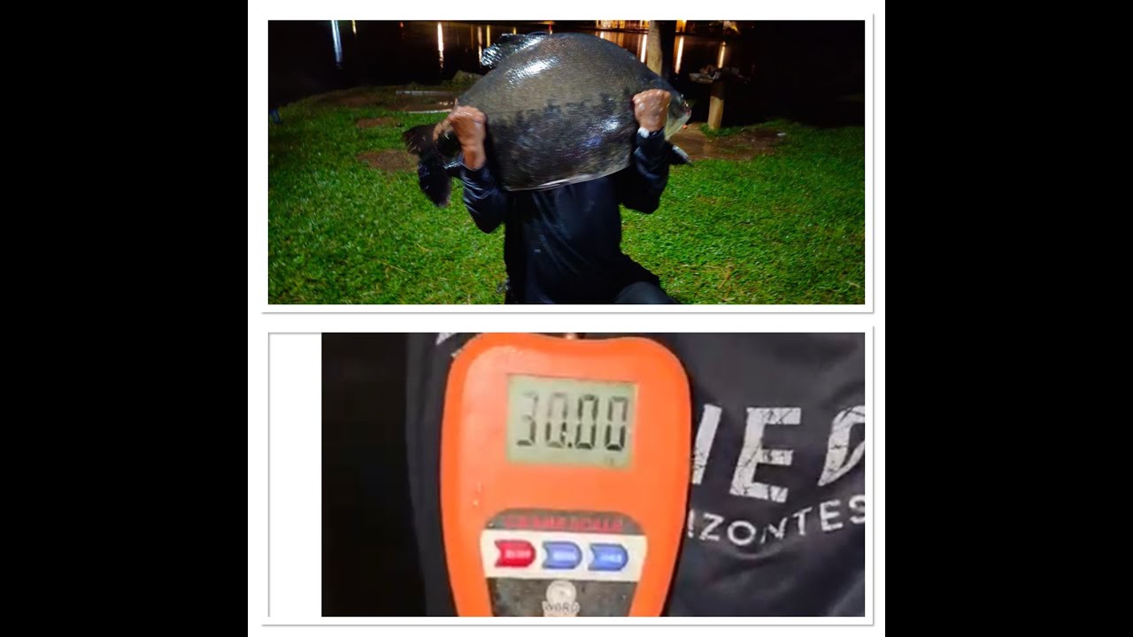 VIRADA DE ANO NO TIO OSCAR 🎆 | Tambacu de 30KG CRAVADO pra começar o ano do jeito certo! 🎣🔥