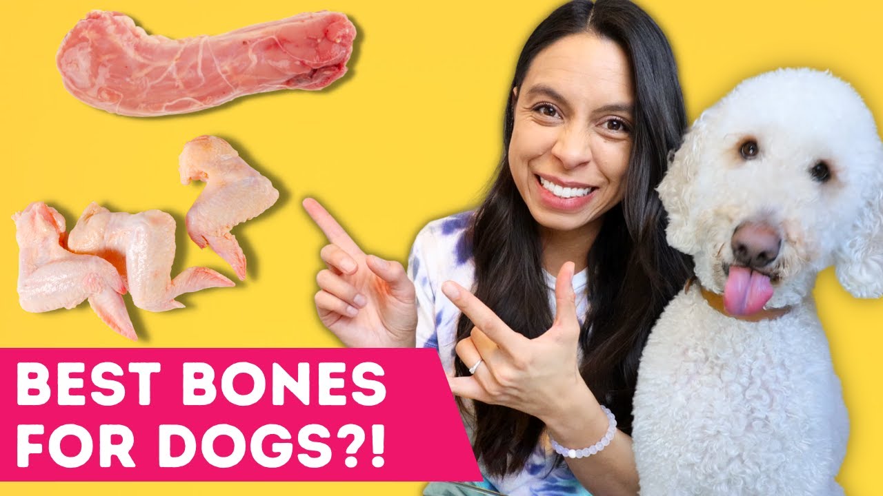 Fed my Dog CHICKEN BONES 👉 Here's what happened...