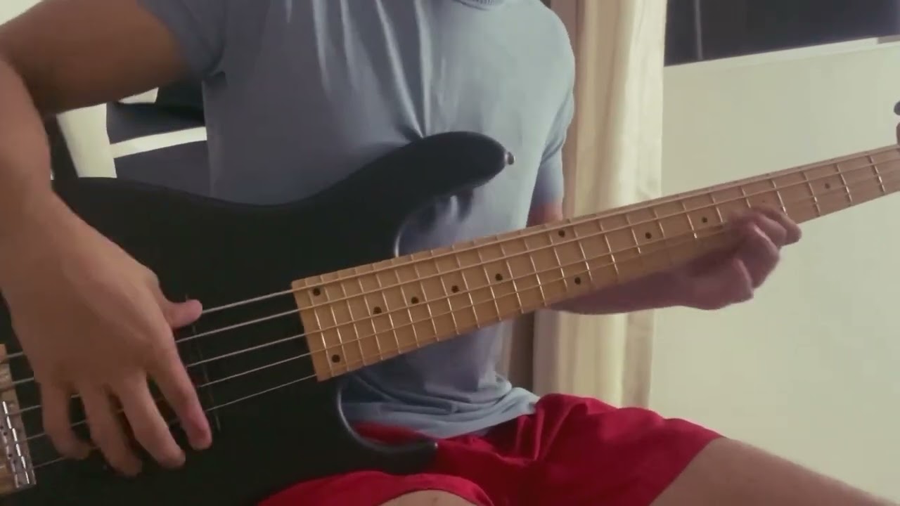 Sadowsky NYC M5 24 Bass Cover - Nunca mais Nattan & Xand Avião