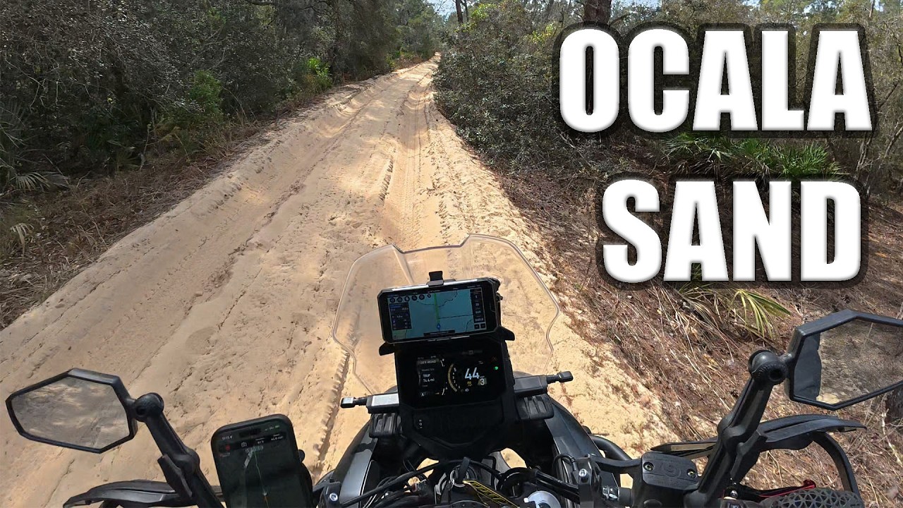 Ocala Sand Riding - Feb. 15, 2026
