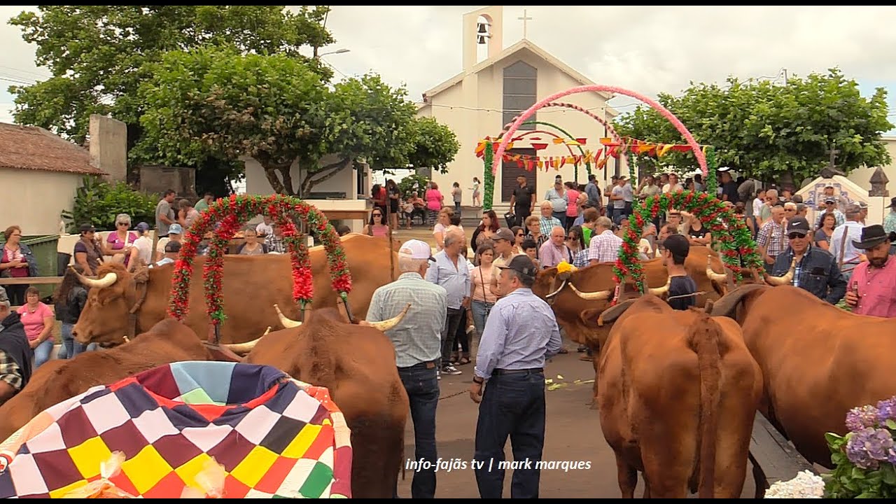 “CORTEJO DE CARROS DE BOIS ” no lugar do Cruzal – Santo Antão – Ilha de São Jorge (02.08.2025)