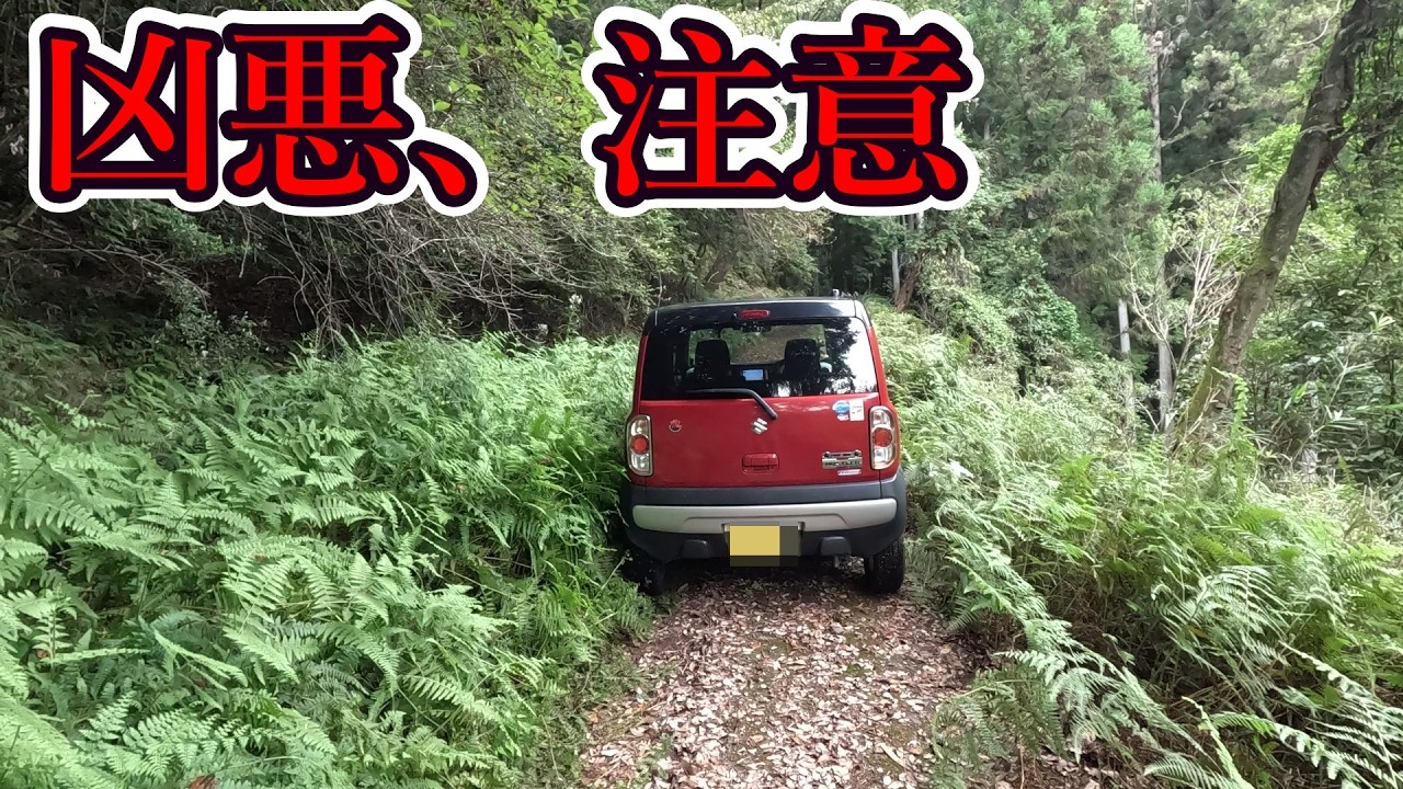 危ないの一言しか感想が出ない県道 [三重県道683号 枅川青山線]