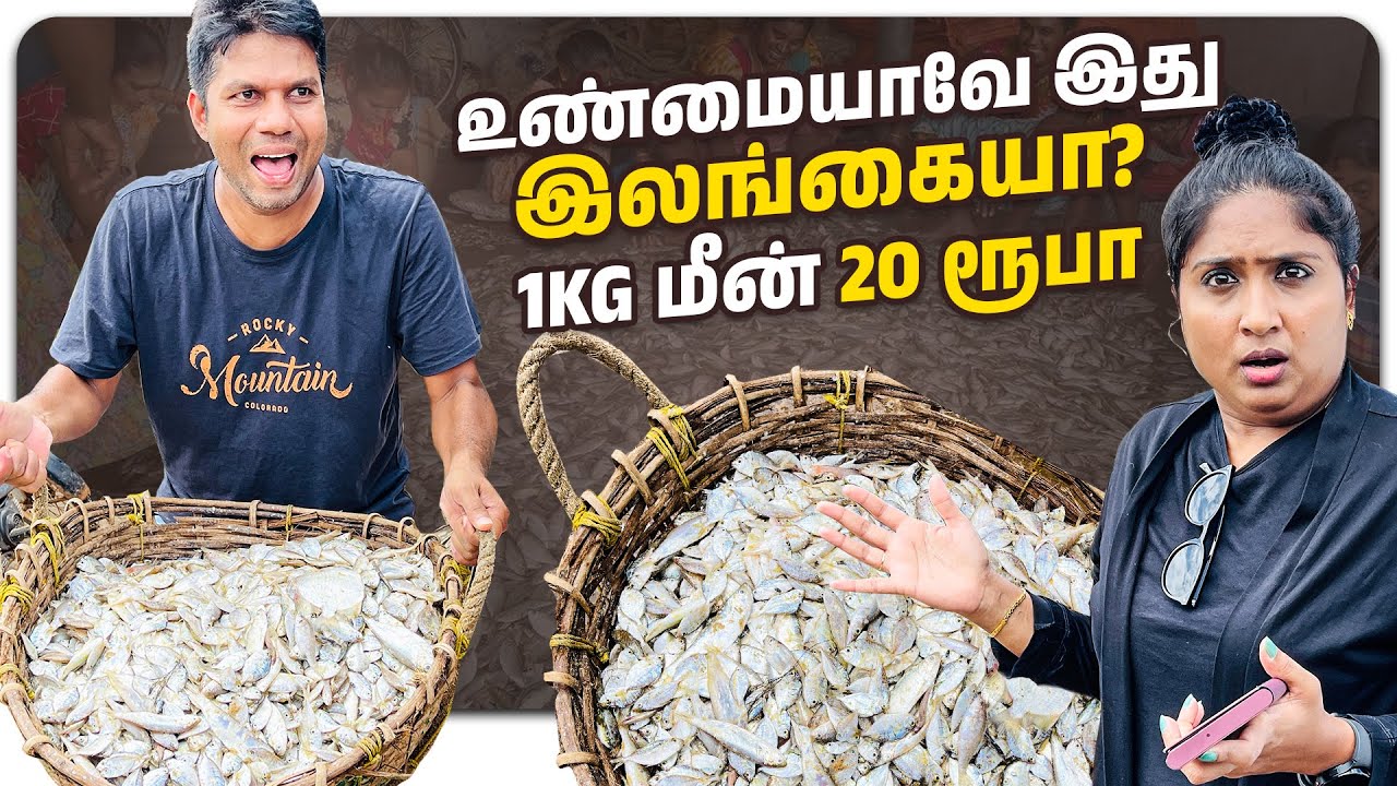 ஒரு கிலோ மீன் வெறும் 20ரூ😱 | நிஜமாவே Srilanka தானா இது | Udappu | Rj Chandru Vlogs