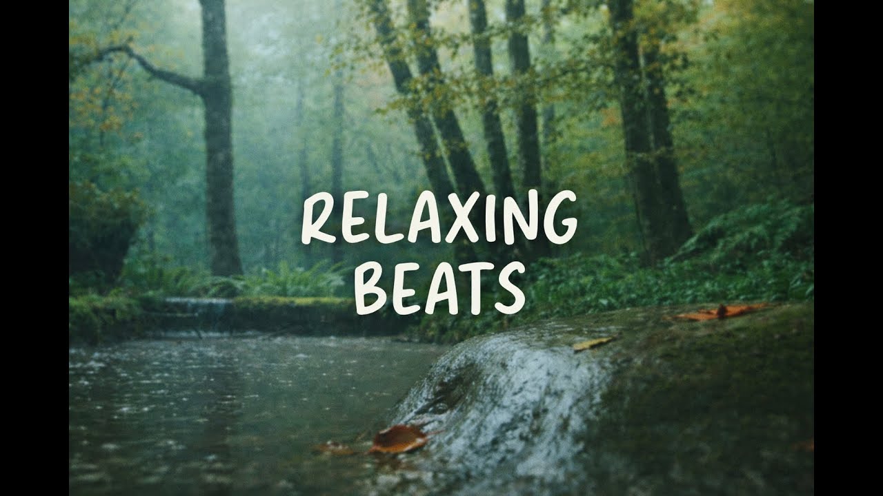 Relaxing Beats 🌧️ Forest Stream  | Calm Music for Sleep, Study & Focus