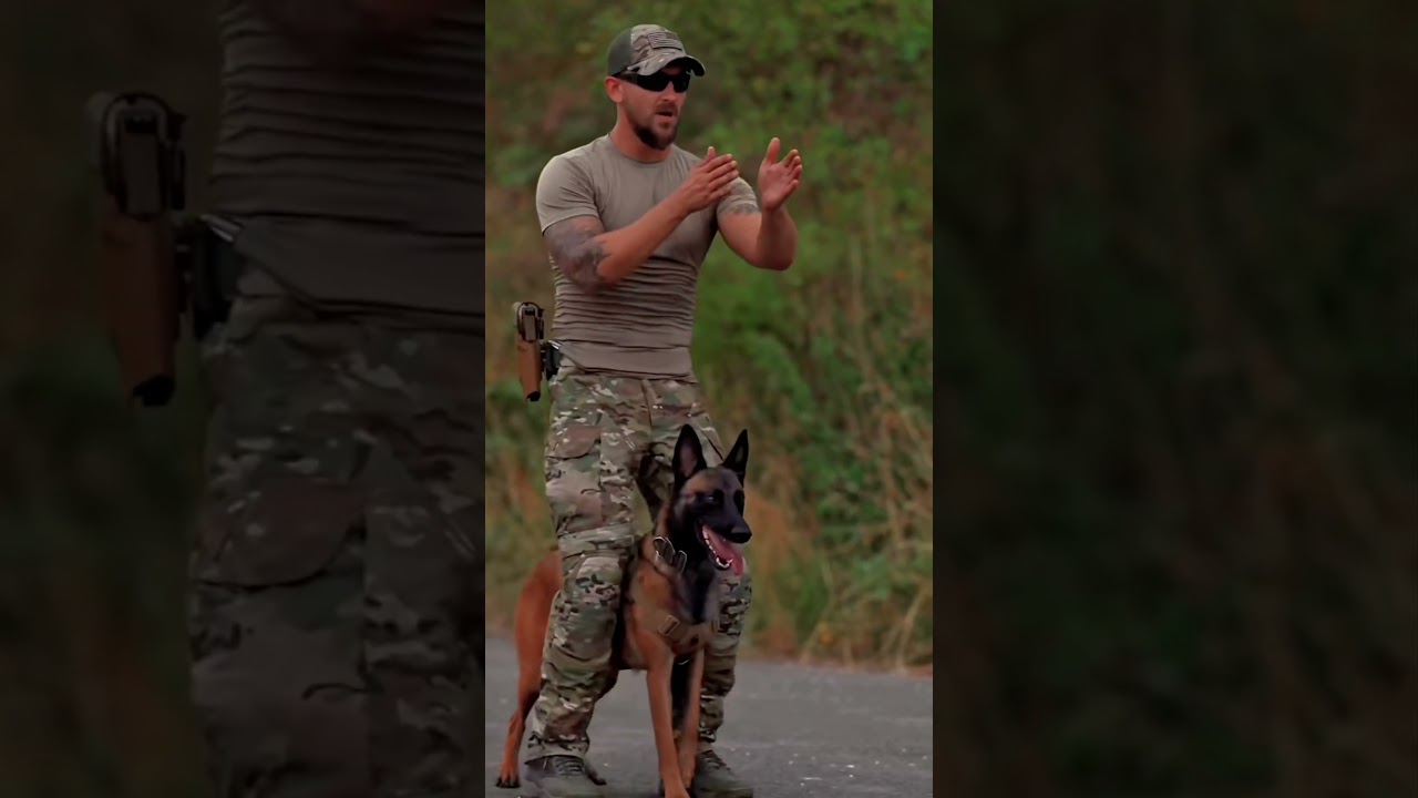 🐶💪Dog & Owner Power Training Together!🏋️&zwj;#Dogs#DogTraining #BraveDog