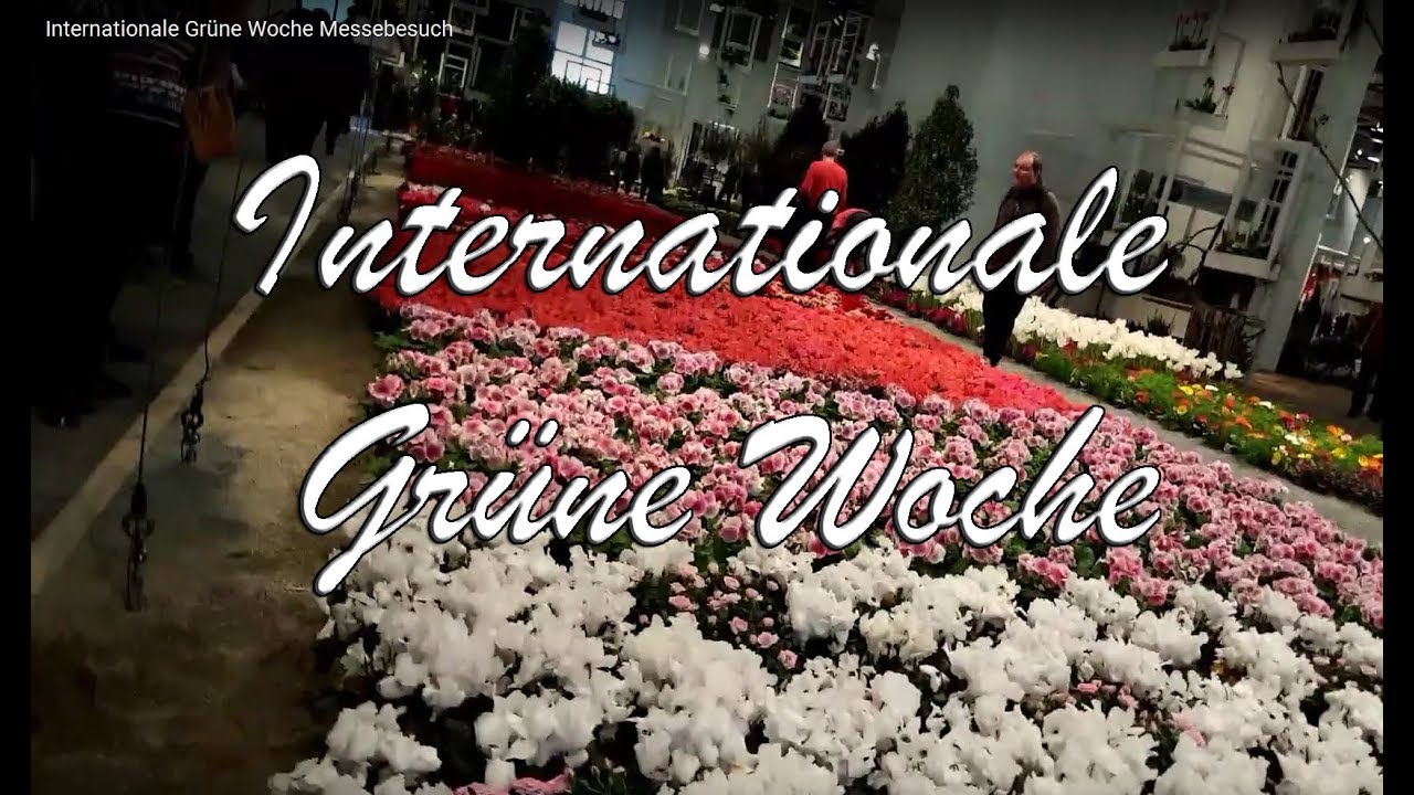 Internationale Grüne Woche Messebesuch