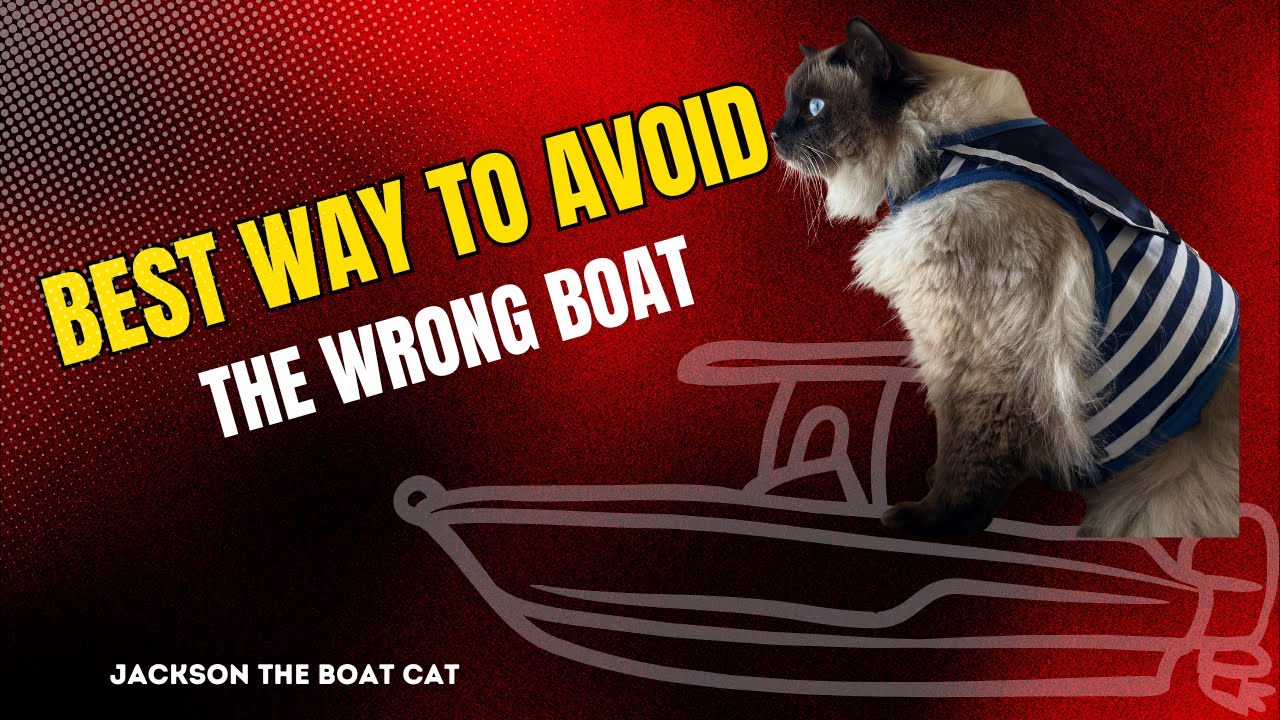 Cat who lives on a boat (Winter Edition)
