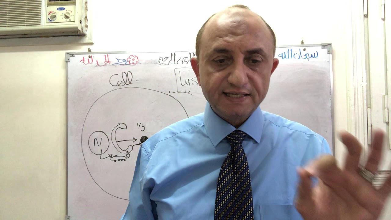 Lysosomes-1st y
