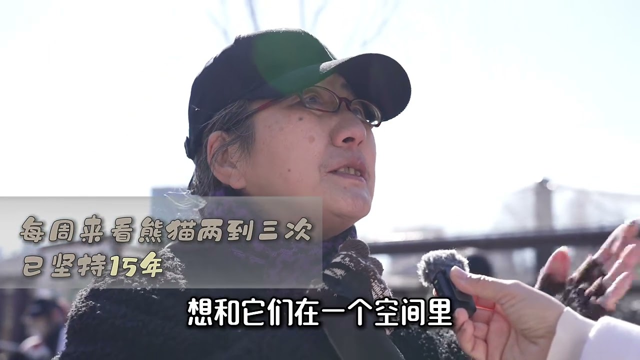 この動画は中国のインターネットで広く流れ、いいねとシェアが5000を超えています。これは中国人が普段から関心を持っている問題にうまく答えています：なぜ日本人はパンダをそんなに愛しているのか？コメント欄